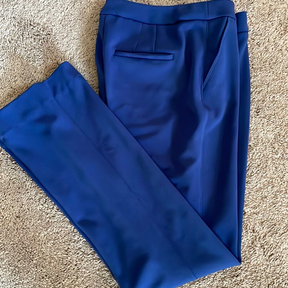 NWOT gorgeous dress pants